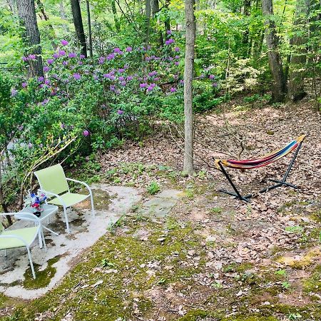 Modern Cabin With Hot Tub Grill Lake Beach Wineries Hiking Fishing And Hershey Park Family And Pet Friendly Superhosts On Ab&B Mount Gretna Kültér fotó